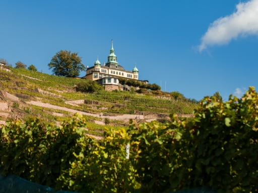 Radebeul is located on the Saxon Wine Route between vineyards just outside Dresden. Here it is worth visiting the Karl May Museum (Karl May Street 5), the last home of the writer. Villa 