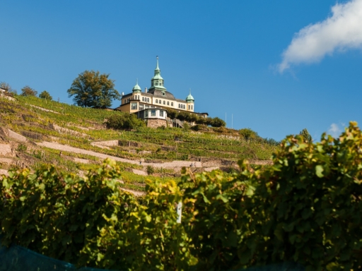 Radebeul liegt an der Sächsischen Weinstraße zwischen Weinhängen direkt vor den Toren Dresdens. Hier lohnt sich ein Besuch im Karl-May-Museum (Karl-May-Straße 5), dem letzten Wohnhaus des Schriftstellers. Villa „Shatterhand“ und „Villa Bärenfett“ bieten neben der legendären Silberbüchse, Bärentöter und Henrystutzen etwa 850 Exponate. Mit Schloss Übigau – zwischen Radebeul und Dresden gelegen – beginnt das Dresdner Elbtal.