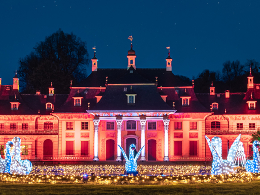 Christmas Garden