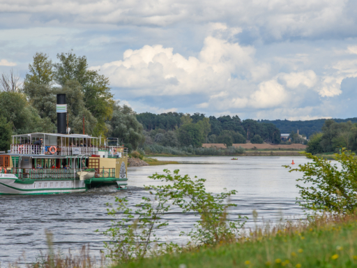 Riesafahrt_Marcel Rosenfeld Der PD Pillnitz steuert durch die Riesaer Elbe. Rundherum ist grünes Gras und Büsche zu sehen.