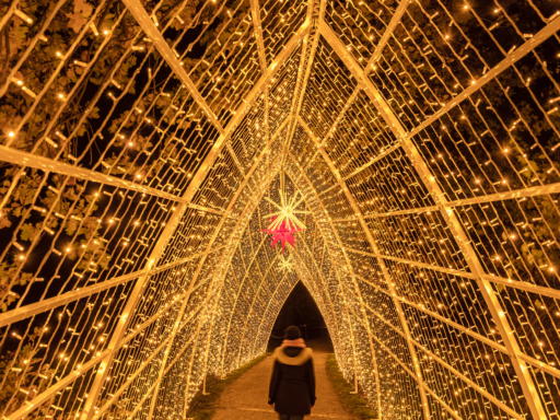 Christmas Garden im Schlosspark Pillnitz. Ein Mensch geht durch einen mit Lichterketten beleuchteten Tunnel im Christmas Garden Dresden.