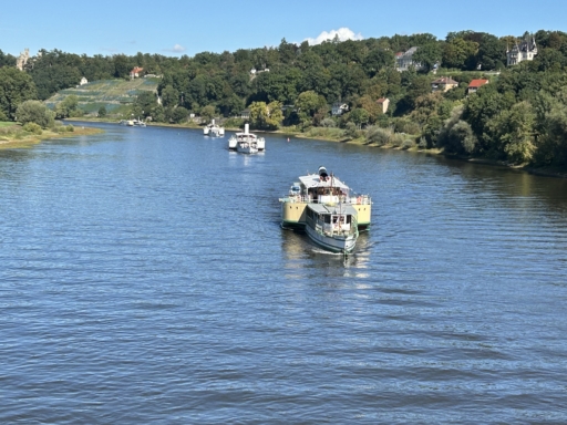 Mehrere Dampfer aufgereiht in Formation