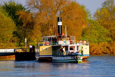 Der Pd Meissen liegt in Pillnitz. Im Hintergrund sind Bäume in herbstlichen Farben zu sehen.